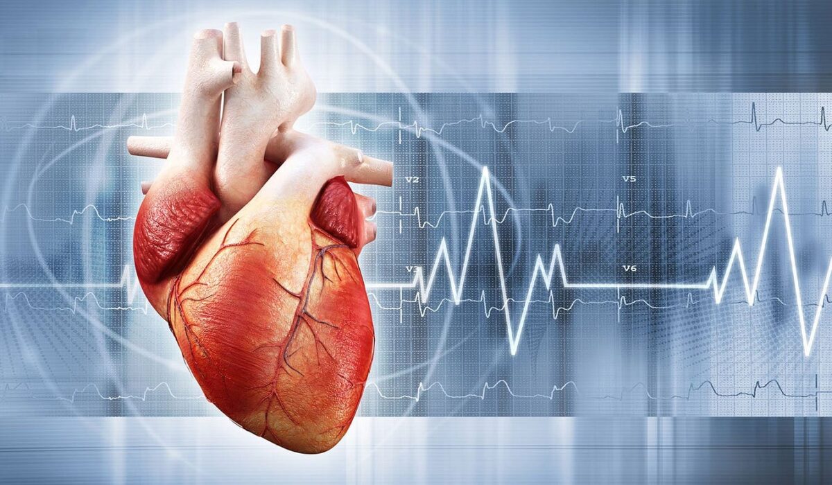 Heart Patient Lifestyle Changes During Summer – Best heart specialist in kolkata